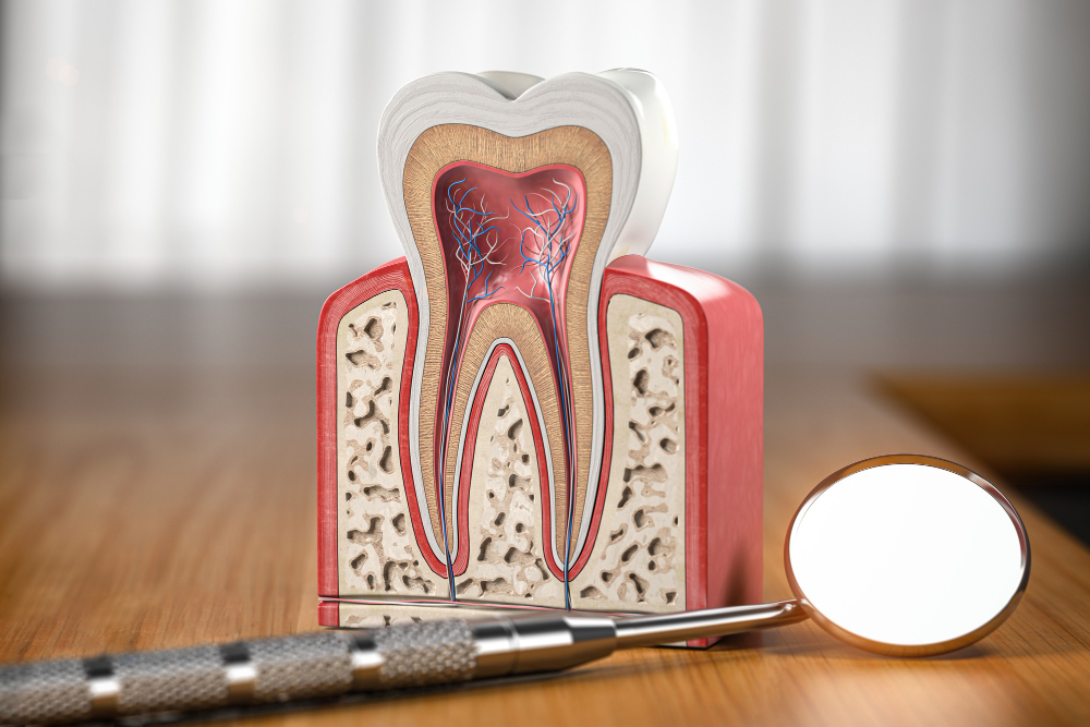 Root Canal Therapy in Bedford